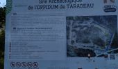 Trail Walking Taradeau - taradeau l'oppidum - Photo 9