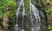 Trail Horseback riding Le Tholy - 2022-06-01 Rando CVA Le Tholy Boucle Cascades du Tendon - Photo 4