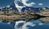 Tour Zu Fuß Kandersteg - Gfelalp - Lötschenpass - Photo 3