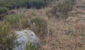 Trail Walking Pradelles - Tour sommets live de Pradelles  - Photo 6