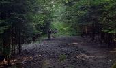 Randonnée Vélo électrique Saint-Clément - sortie vtt 18062023 vitrimont  - Photo 3