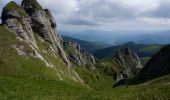 Percorso A piedi Sconosciuto - Vârful Ciucaș - Șaua Ciucaș - Plaiul Domnesc - Poiana Dălghiului - Photo 10