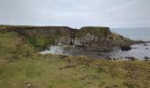 Percorso Marcia West Cork - toe head and cliffs - Photo 2