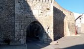 Trail Walking Orgon - Orgon Et ses alentours - Photo 12