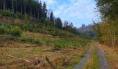 Trail Walking Bièvre - Balade de Gros-Fays à Cornimont - Photo 7