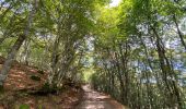 Trail Walking Recoules-d'Aubrac - Recoules Bouchabes  - Photo 2