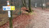 Tocht Stappen Waimes - Brasserie Peak 10 Km - Photo 12