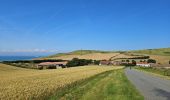 Trail Walking Escalles - ⛺️ Les Érables - Cap Blanc-Nez  - Photo 4