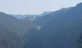 Trail Walking Auzet - AUZET. COL DE LA PINEE . LE MARZENC . N . O L - Photo 13
