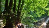 Trail Walking Vic-sur-Cère - Pas de Cère- cascade de Gourdole - Photo 13