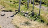 Tocht Stappen Saint-Jacques-des-Blats - st Jacques les B plomb du cantal  - Photo 2