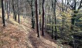 Tour Wandern Grez-Doiceau - Nethen Meerdael  - Photo 6