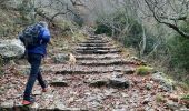 Trail Walking Plan-d'Aups-Sainte-Baume - Sainte Baume 8,5 km - Photo 9