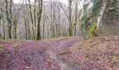 Trail Walking Darnets - boucle des Troubadours - Photo 16