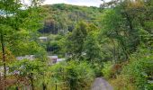 Tour Wandern Vresse-sur-Semois - Promenade du point de vue des 8 Semois - Photo 6