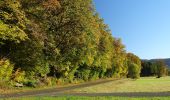 Trail On foot Ebermannstadt - Feuerstein-Unterleinleiter - Photo 6