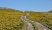 Tocht Te voet Urrô - Viagem à Pré-história - Photo 1