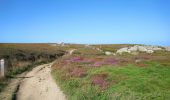 Tour Wandern Cléden-Cap-Sizun - Pointe du Van - Pointe du Raz par le GR34 - 13.5km 310m 4h10 (40mn) - 2019 09 04 - Photo 1