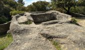 Randonnée Marche Lamanon - Cales - Photo 14