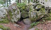 Trail Walking Fontainebleau - Sentier Denecourt 2 - Photo 6