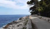 Tour Wandern Saint-Jean-Cap-Ferrat - mon petit tour st jean cap ferrat - Photo 8