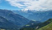 Tour Wandern Verchaix - Col de Joux plane haute Savoie 9 juillet 2022  - Photo 2