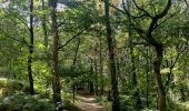 Tocht Stappen Luik - Sur les hauteurs de Streupa - Photo 1