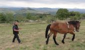 Percorso A piedi Orbeil - Le Domaine de Vort - Photo 7