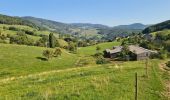 Tour Wandern Schnierlach - La tour du Faudé - Photo 16