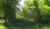 Excursión Senderismo Trosly-Breuil - en forêt de Compiègne_28_les Tournantes sur le Mont Saint-Mard et sur le Mont Collet - Photo 20