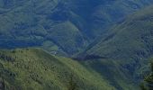 Tour Wandern La Pesse - Crêt de Chalam  - Photo 1