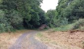 Percorso Marcia Verrières - DOLMEN ET CASCADE DE SAILLANT DEPUIS VERRIERES - Photo 1