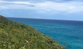 Randonnée Marche Anse-Bertrand - Porte d’enfer anse Bertrand  - Photo 5