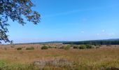 Tocht Stappen Waimes - autour de botrange et du bois de sourbrodt - Photo 16