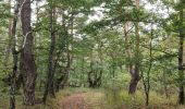 Randonnée Marche Verrières-en-Forez - Au dessus de Verriéres en Forez  - Photo 15