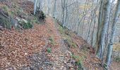 Tocht Stappen La Bastide - coll de palomere - Photo 19