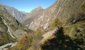 Trail Walking Les Deux Alpes - BOUCLE DU VENEON - Photo 2