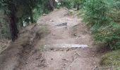 Trail Walking Le Malzieu-Ville - LE MALZIEU - APCHER  - Photo 10