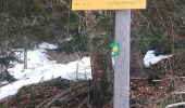 Trail Walking Les Avanchers-Valmorel - Valmorel par l'Ormay - Photo 7