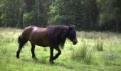 Tocht Te voet Unknown - Dagsmarschen - Photo 9