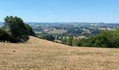 Trail Walking Dalhem - Le grand tour de Dalhem - Photo 11