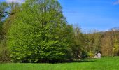 Percorso Marcia Thuin - Balade dans le Bois du Grand Bon Dieu-Thuin - Photo 6