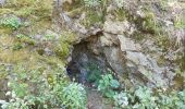 Trail Walking Thann - Thann - oeil de la sorcière - rocher d'Ostein - camp de Turenne - Molkenrain - chëne Wotan - croix du Rangen - Photo 4
