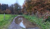 Randonnée Marche Aywaille - de Tlff à Sur le Tige -  autour du bois de Warnoumont - Photo 18