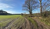 Trail Walking Herentals - Herentals 24,7 km - Photo 13