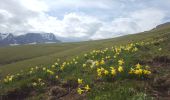 Randonnée Marche Tréminis - Treminis :  Montagne de Paille, col de la Croix. - Photo 4