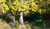 Trail Walking Bormes-les-Mimosas - SityTrail - Barrage du Trapan - Estagnol - Pellegrin - Photo 10