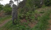 Trail Walking Le Cours - GRP_Lanvaux_AG_07_Cours_Rochefort-Terre_20210514 - Photo 2