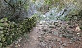 Excursión Senderismo Serra-di-Ferro - Serra di Ferro, plage de Cupabia A/R - Photo 1