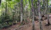 Randonnée Marche Les Déserts - La Feclaz -Croix du Nivollet - Photo 20